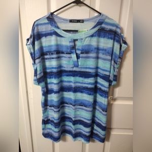 Blue stripe top NWT